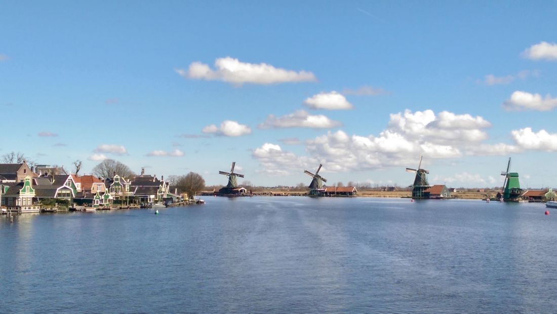 41704052_249045032479759_6903460518665650176_n