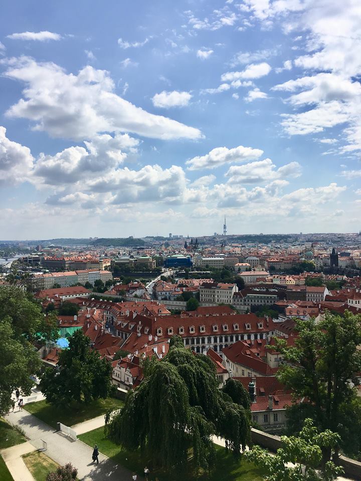 42532449_616968608698161_2264740661817245696_n