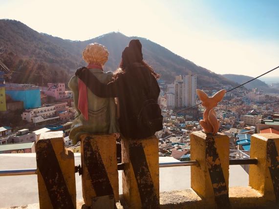 53330552_329355521039934_5355822208067305472_n